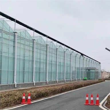 Tollán Polai Talmhaíochta Teach Glas/Trátaí Cheaptha Teasa Ar Díol Tollán Teasa